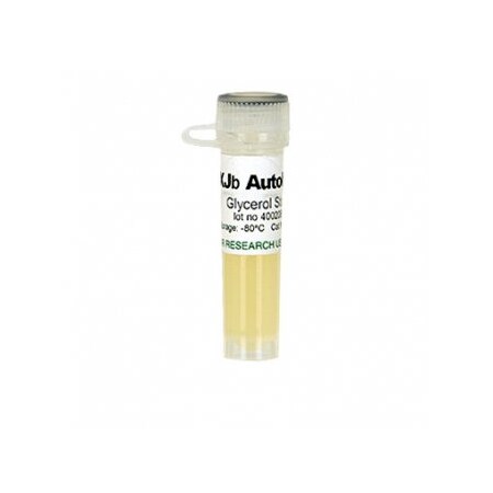 XJb(DE3) Autolysis  w/1 Glycerol Stock & 1 ml 500X L-Arabinose -  ZYMO RESEARCH, ZT5051